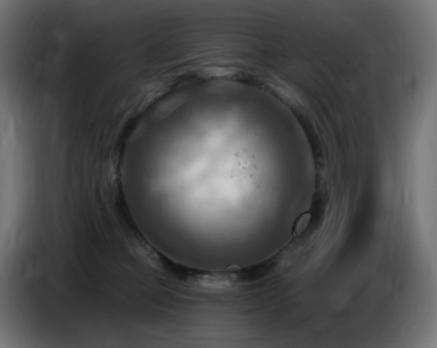 X0000086750373200704131156