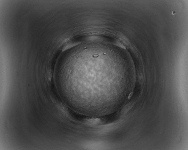 X0000086750374200704131156