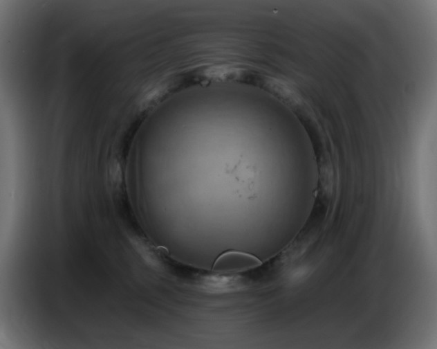 X0000086750375200704131156