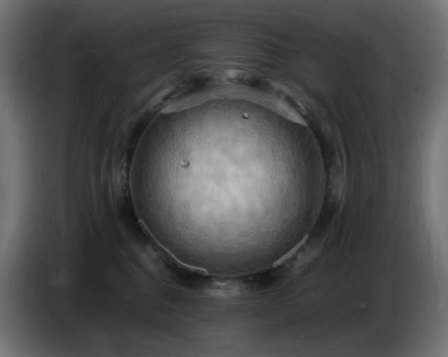 X0000086750376200704131156