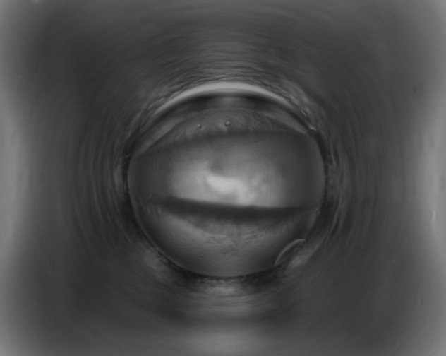 X0000086750377200704131156