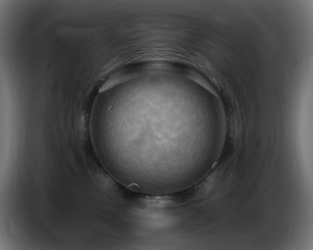 X0000086750378200704131156