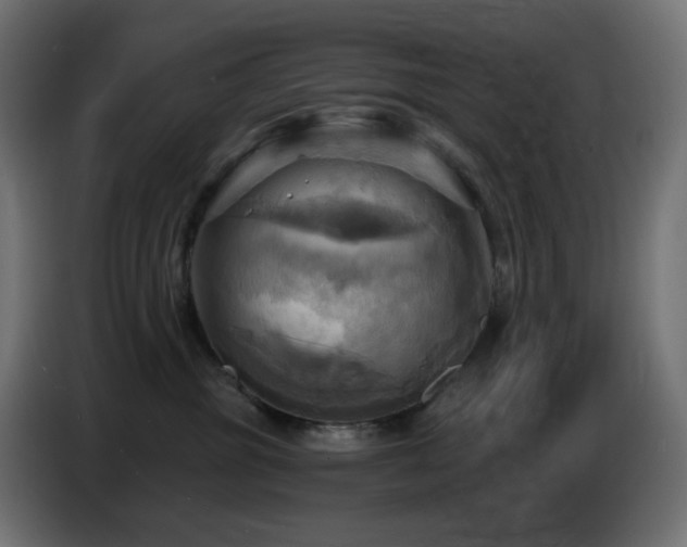 X0000086750381200704131156