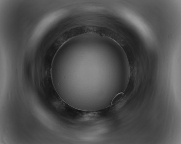 X0000086750382200704131156