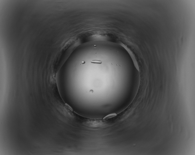 X0000086750384200704131156