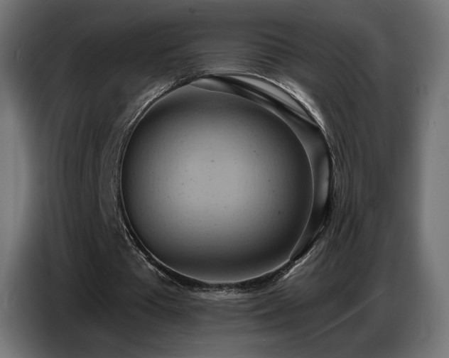 X0000086750385200704131156