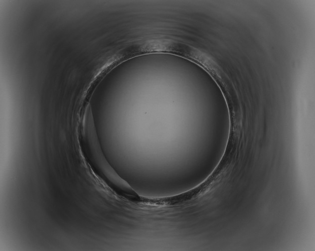 X0000086750386200704131156