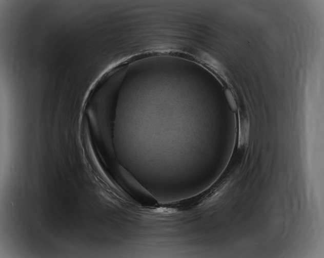 X0000086750387200704131156