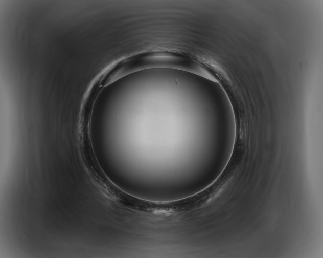 X0000086750388200704131156