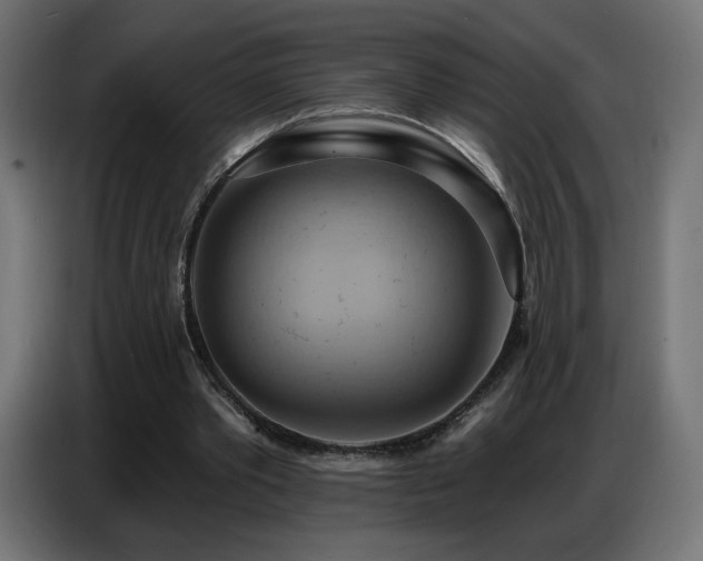 X0000086750389200704131156