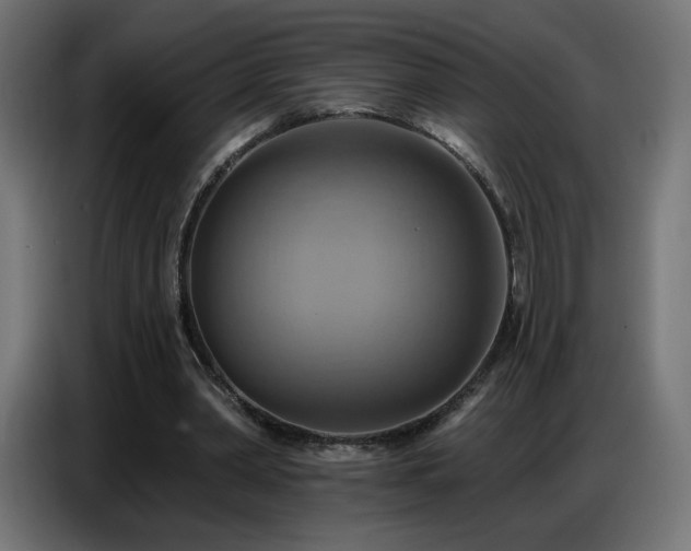 X0000086750390200704131156