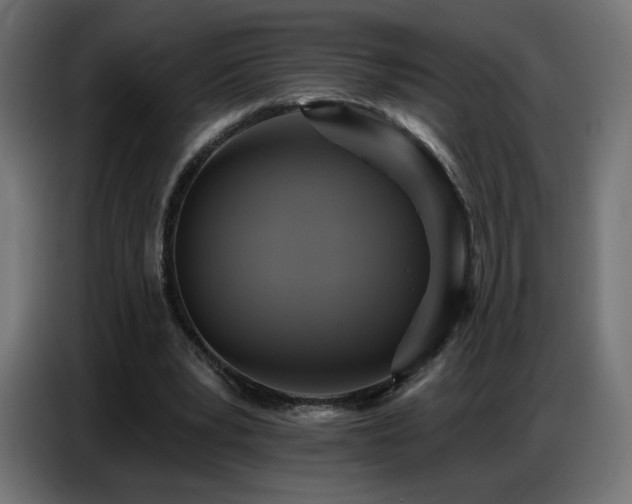 X0000086750391200704131156