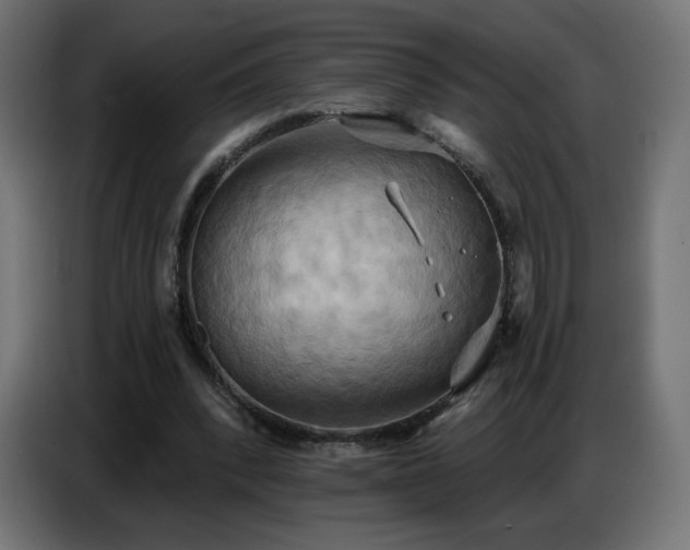 X0000086750392200704131156