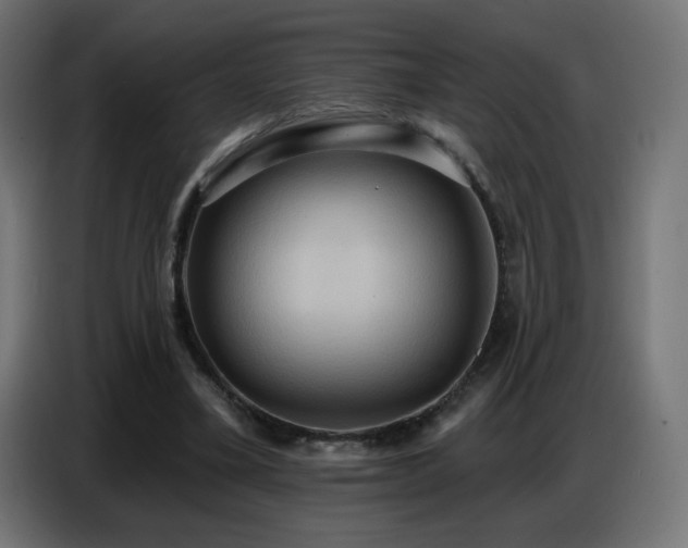 X0000086750395200704131155