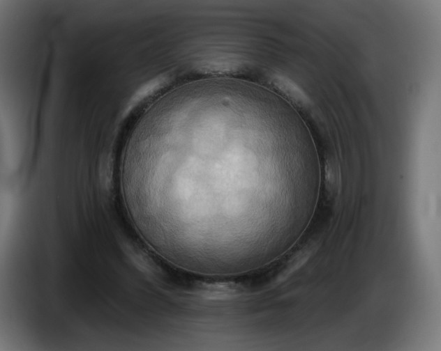 X0000086750396200704131155