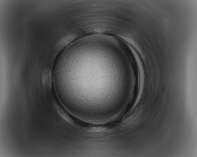 X0000086750397200704131155