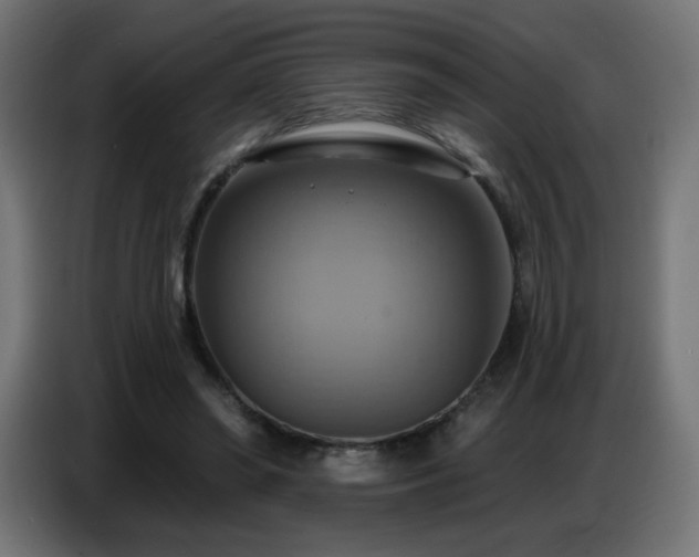 X0000086750398200704131155