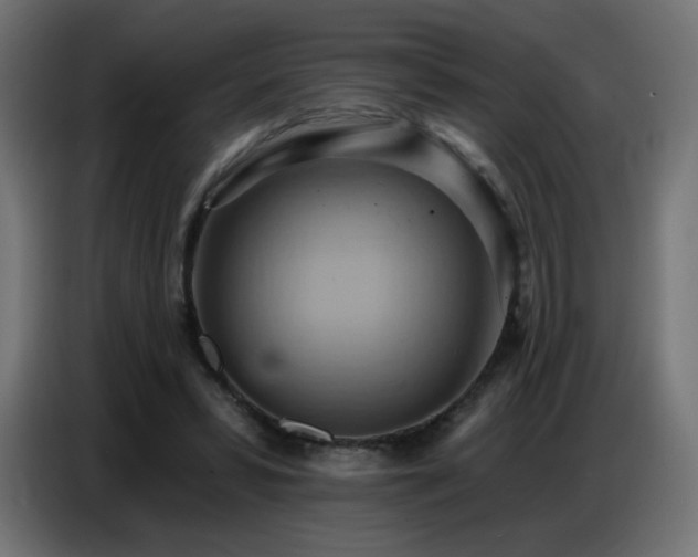 X0000086750399200704131155