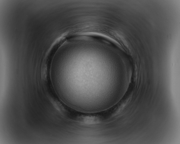 X0000086750400200704131155