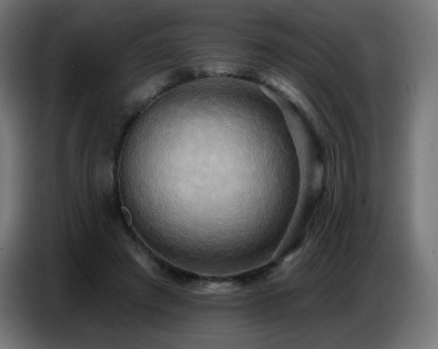 X0000086750401200704131155