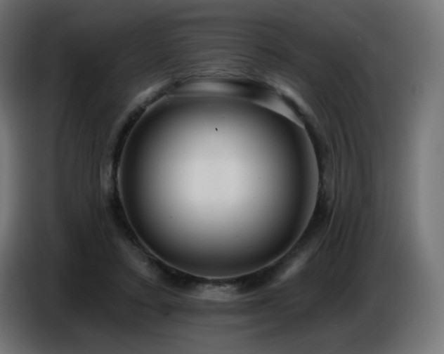 X0000086750403200704131155