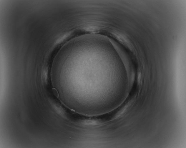 X0000086750404200704131155