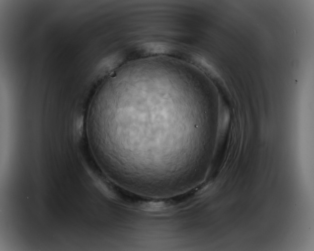 X0000086750406200704131155