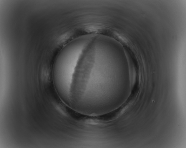 X0000086750408200704131155
