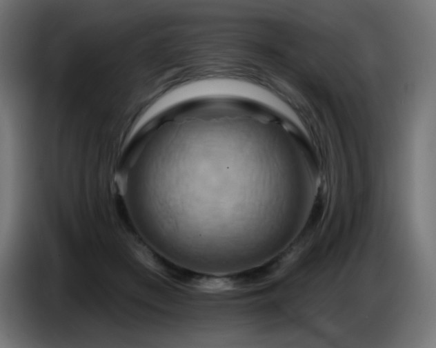 X0000086750409200704131155