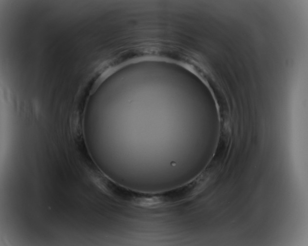 X0000086750411200704131155
