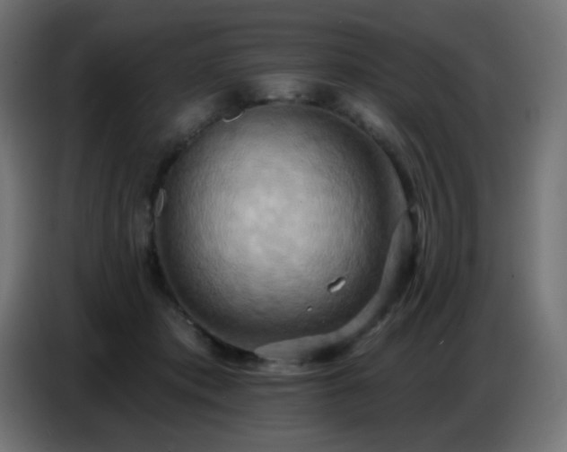 X0000086750413200704131155