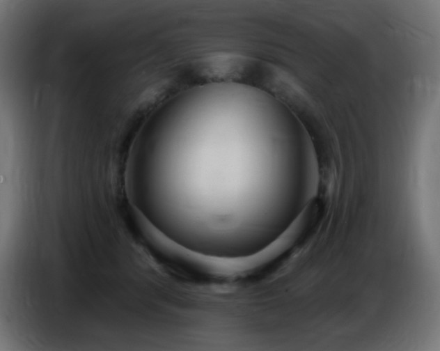 X0000086750416200704131155