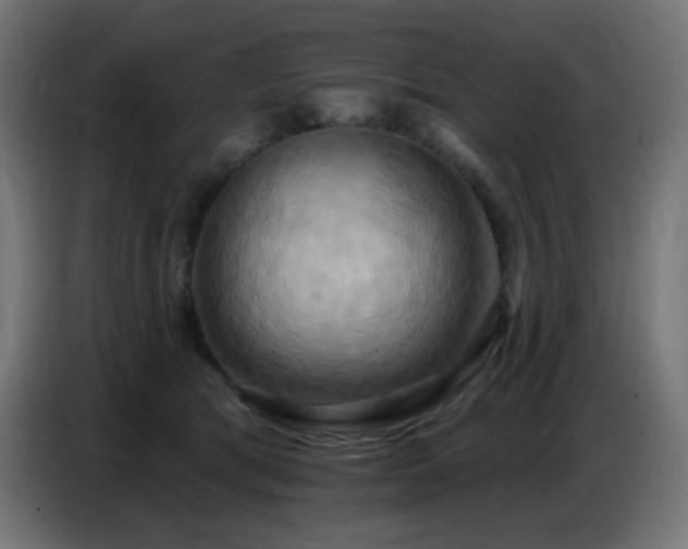 X0000086750417200704131155