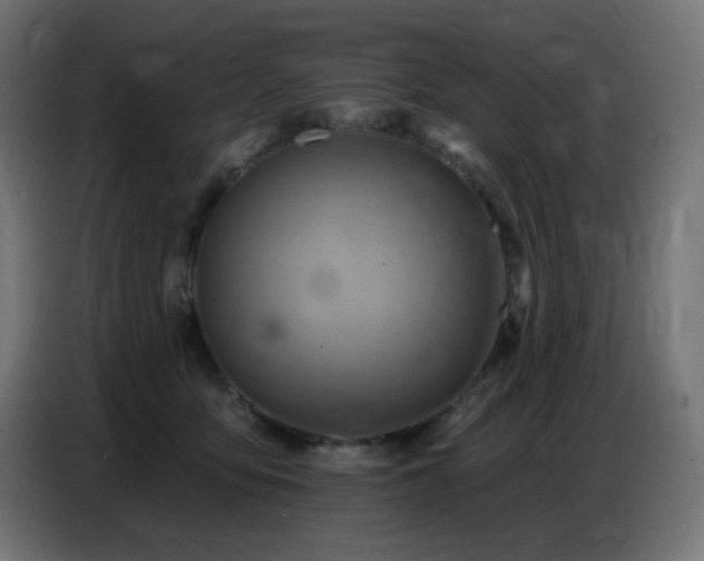 X0000086750419200704131155