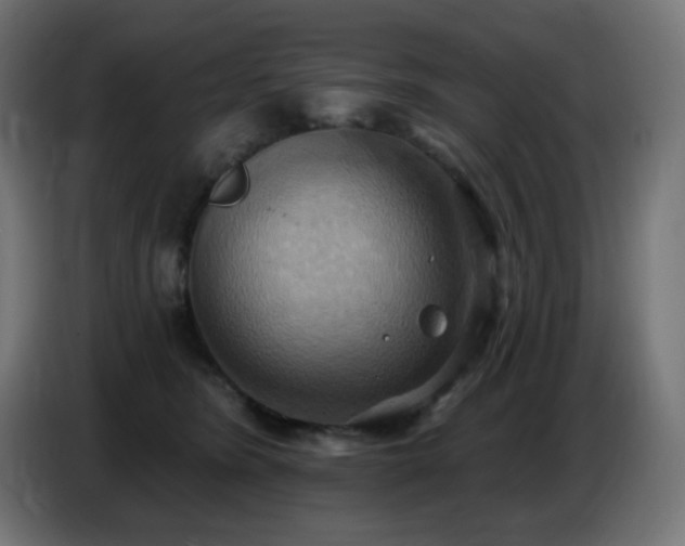 X0000086750420200704131155