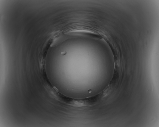 X0000086750423200704131155