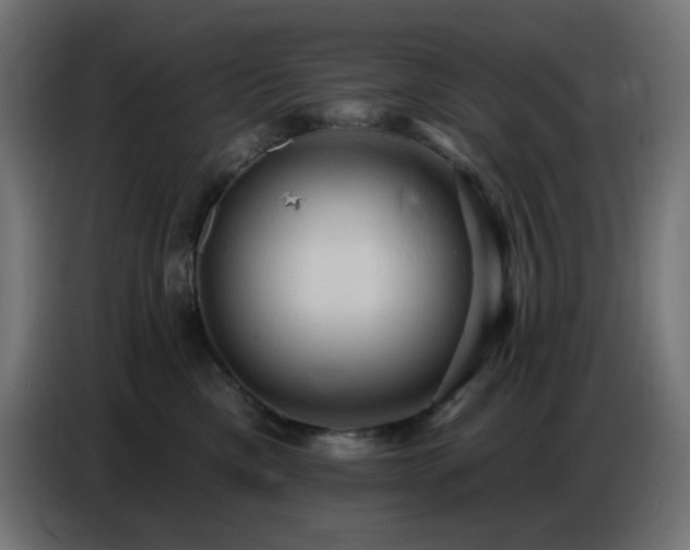 X0000086750425200704131155