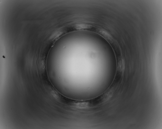 X0000086750426200704131155