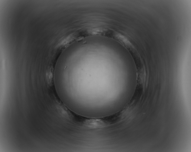 X0000086750427200704131155