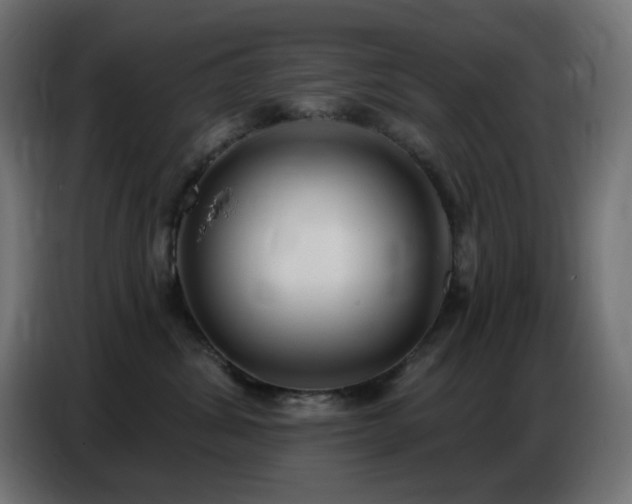 X0000086750428200704131155