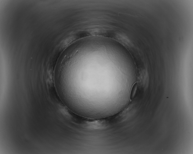 X0000086750430200704131155
