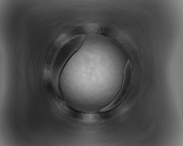 X0000086750432200704131155
