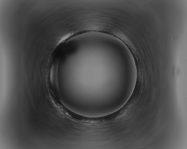 X0000086750434200704131154
