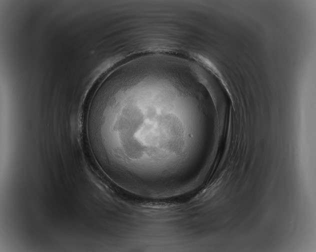 X0000086750435200704131154