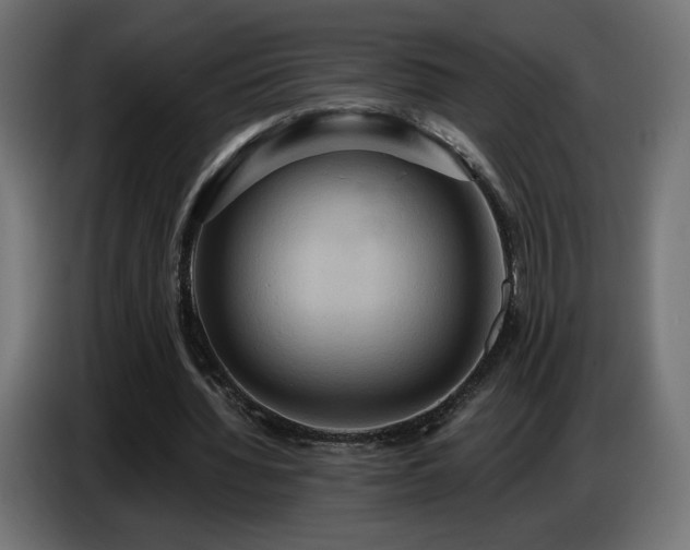 X0000086750436200704131154