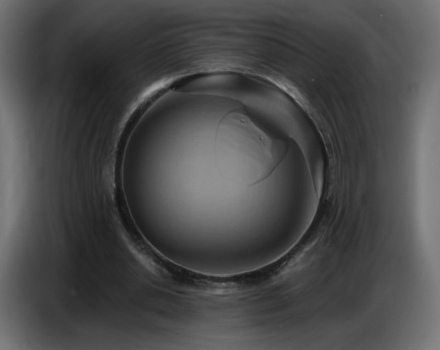 X0000086750438200704131154