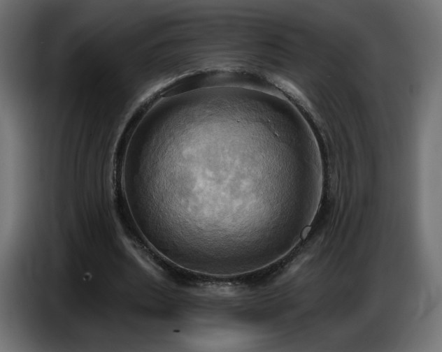 X0000086750439200704131154