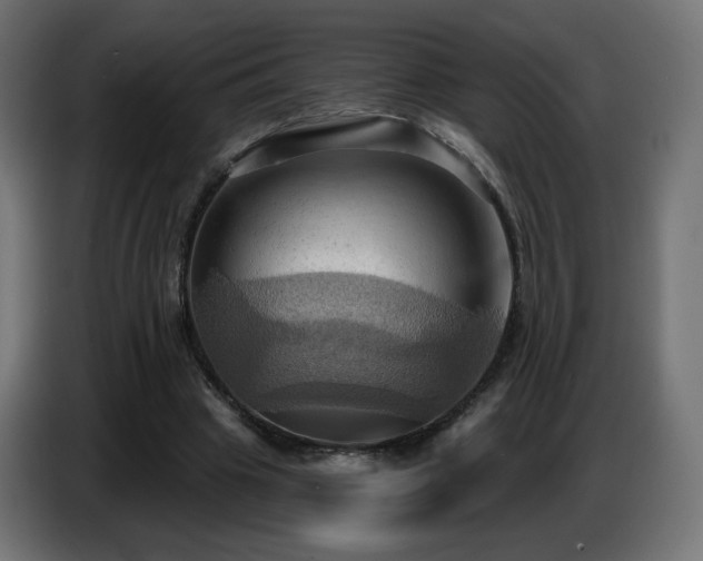 X0000086750441200704131154