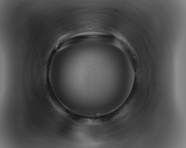 X0000086750442200704131154