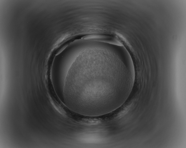X0000086750443200704131154